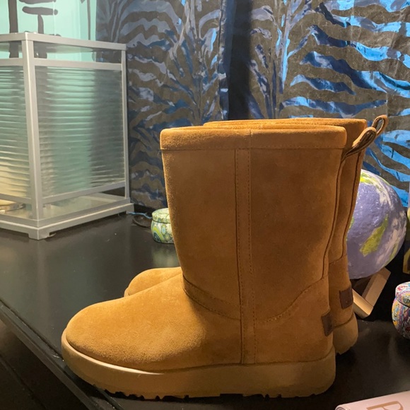 Brown UGG Boots - Picture 1 of 1
